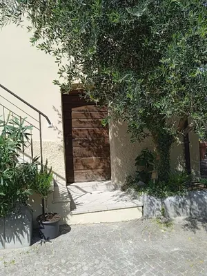 a door to a building with a tree in front of it at Appartments DAS Hubertus in Termeno
