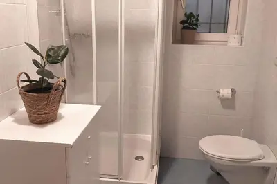 a bathroom with a toilet and a shower with a plant at RÖCK Weingut - winery in Villandro