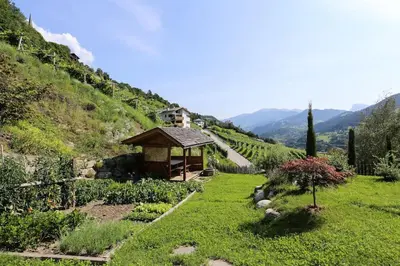 a garden with a gazebo on the side of a hill at RÖCK Weingut - winery in Villandro