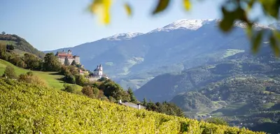 a castle on a hill with mountains in the background at RÖCK Weingut - winery in Villandro