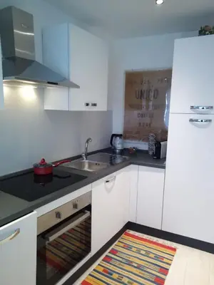 a kitchen with white cabinets and a sink and a kitchen rug at Al cantuccio di Chiara in Brunico