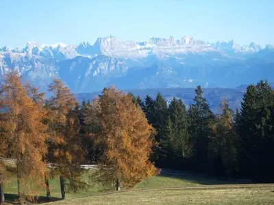a view of a snow covered mountain range with trees at Chalet am Waldrand in Verano