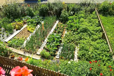 a garden filled with lots of different types of plants at Moosbachhof - Ferienwohnung Marienkäfer in Collalbo