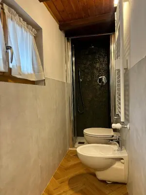 a bathroom with a toilet and a shower at Casa Latemar in Moena
