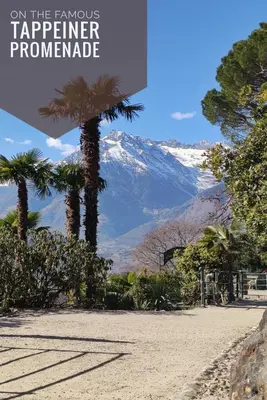a view of a snow covered mountain with palm trees at La Libella - Suite #5 - la terrazza mit privatem Pool in Merano