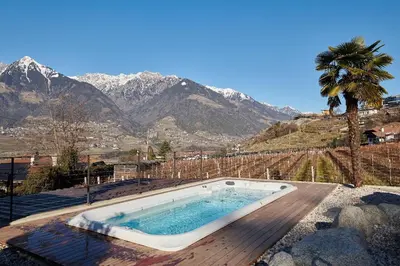 a swimming pool with a palm tree and mountains at Hosler in Merano