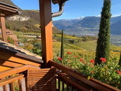 a balcony with a view of a vineyard and mountains at Santlhof-Chardonnay in Cortaccia