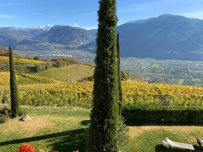 a tree in a field with mountains in the background at Santlhof-Chardonnay in Cortaccia