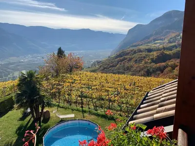 a view of a vineyard from a house with a swimming pool at Santlhof-Chardonnay in Cortaccia