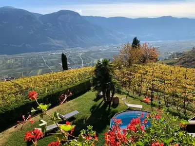 a view of a vineyard with a pool in the grass at Santlhof-Chardonnay in Cortaccia