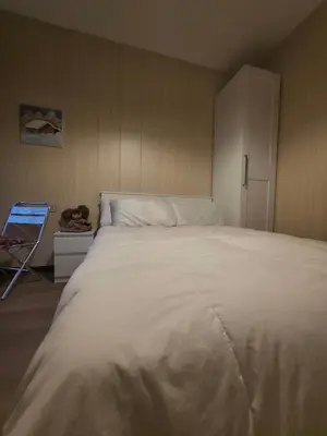 a bedroom with a large white bed and a cabinet at Hope Home Trentino in San Martino di Castrozza