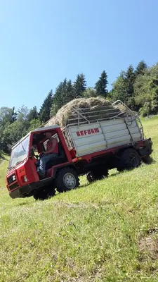 a red truck with a load of hay in a field at Pixnerhof Urlaub auf dem Bauernhof in Schenna