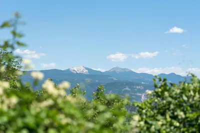a view of a mountain range with trees in the foreground at Eich-hof in Caldaro