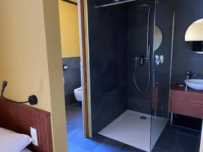 a bathroom with a shower with a sink and a toilet at Apartments by Bemelmans-Post in Collalbo