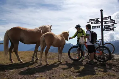 a couple of people and a horse next to a sign at Casa Narciso in Rocca Pietore