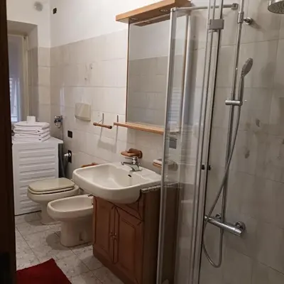 a bathroom with a sink and a toilet and a shower at Rosa e Margherita in Brez