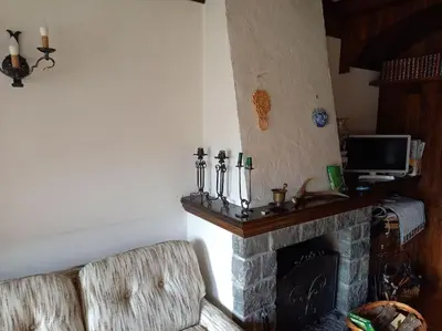 a living room with a couch and a fireplace at Appartamento a San Vito di Cadore in San Vito di Cadore
