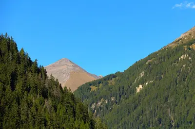 a view of a mountain with trees on it at Pfitscherhof in Campo di Trens