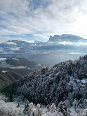 a view of a mountain with snow covered trees at Alpenglow Apartments in Collalbo